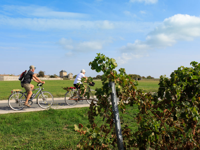 Ile de Ré - Image 03