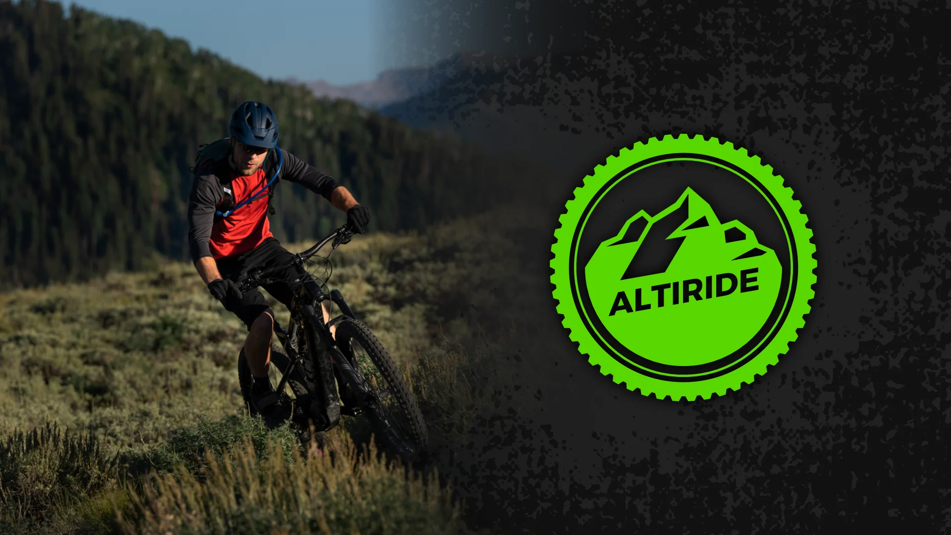 Inscription en ligne